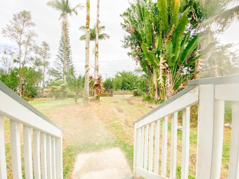Monstera Bungalow, Spacious, King Bed, Big Kitchen 凯阿奥 外观 照片